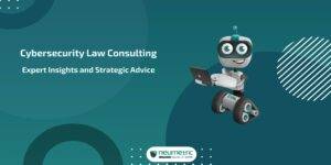 Cybersecurity Law Consulting