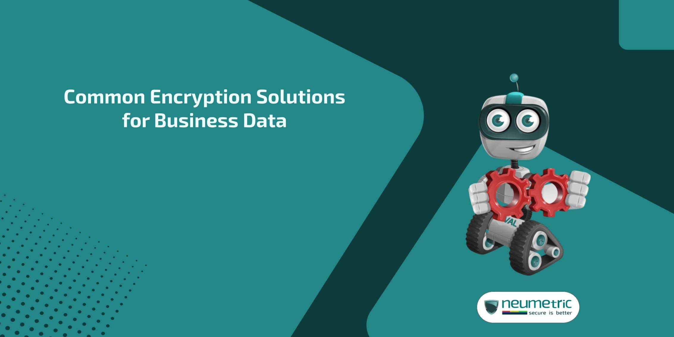 Encryption solutions for business data