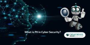 What is PII in Cyber Security?