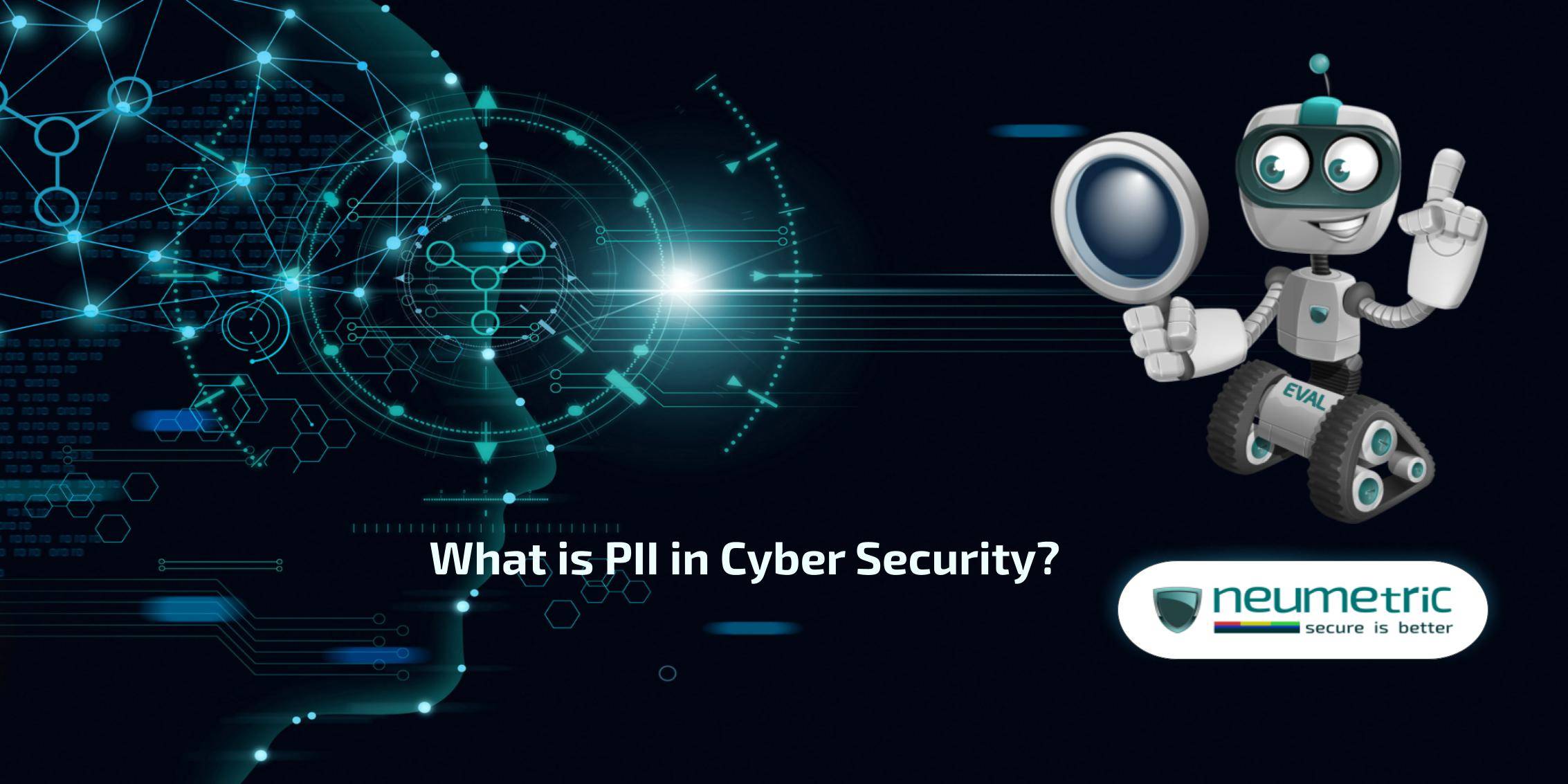 What is PII in Cyber Security?