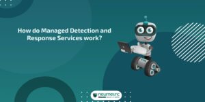 Managed detection and response services