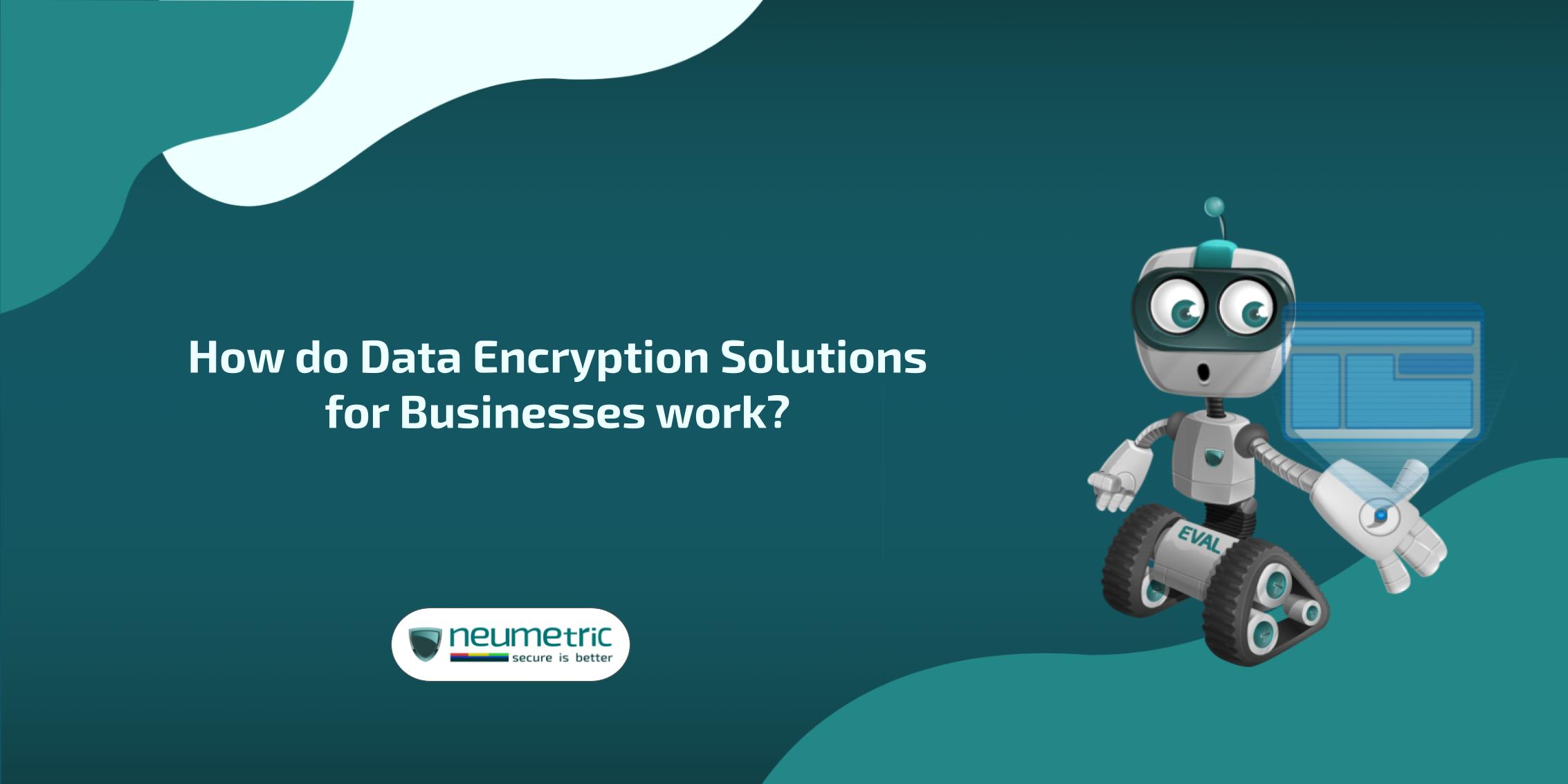 Data encryption solutions for businesses