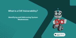 cve vulnerability