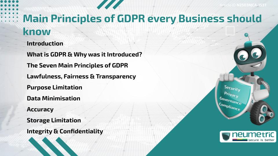 Main Principles of GDPR every Business should know